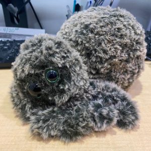Fluffy Spider